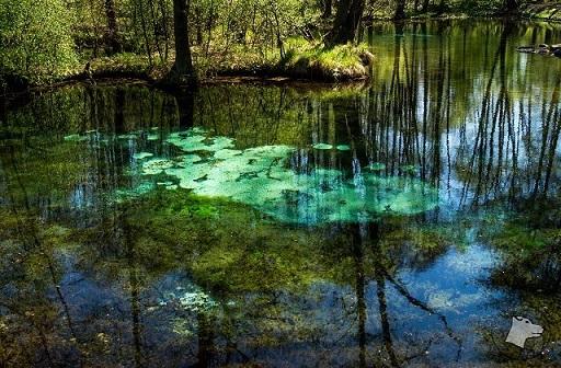 Reserve Blue Springs / Rezerwat Niebieskie rda 